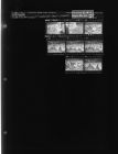 Chickens wear glasses (8 Negatives), September 25-26, 1963 [Sleeve 60, Folder d, Box 30]